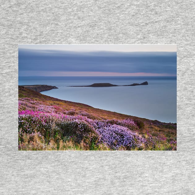 Worms Head and Rhossili Bay from Rhossili Down, Gower, Wales by dasantillo